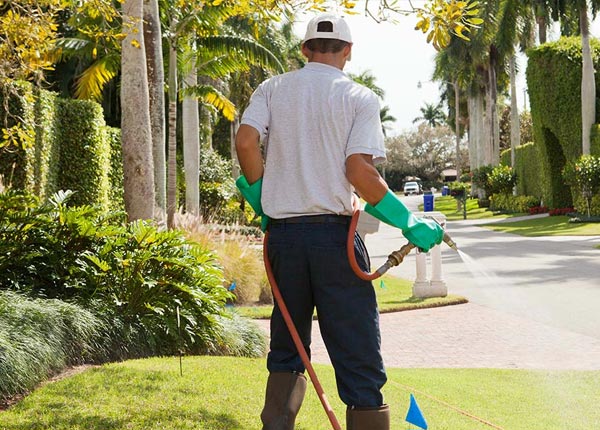 About Hickory KY Pest Control